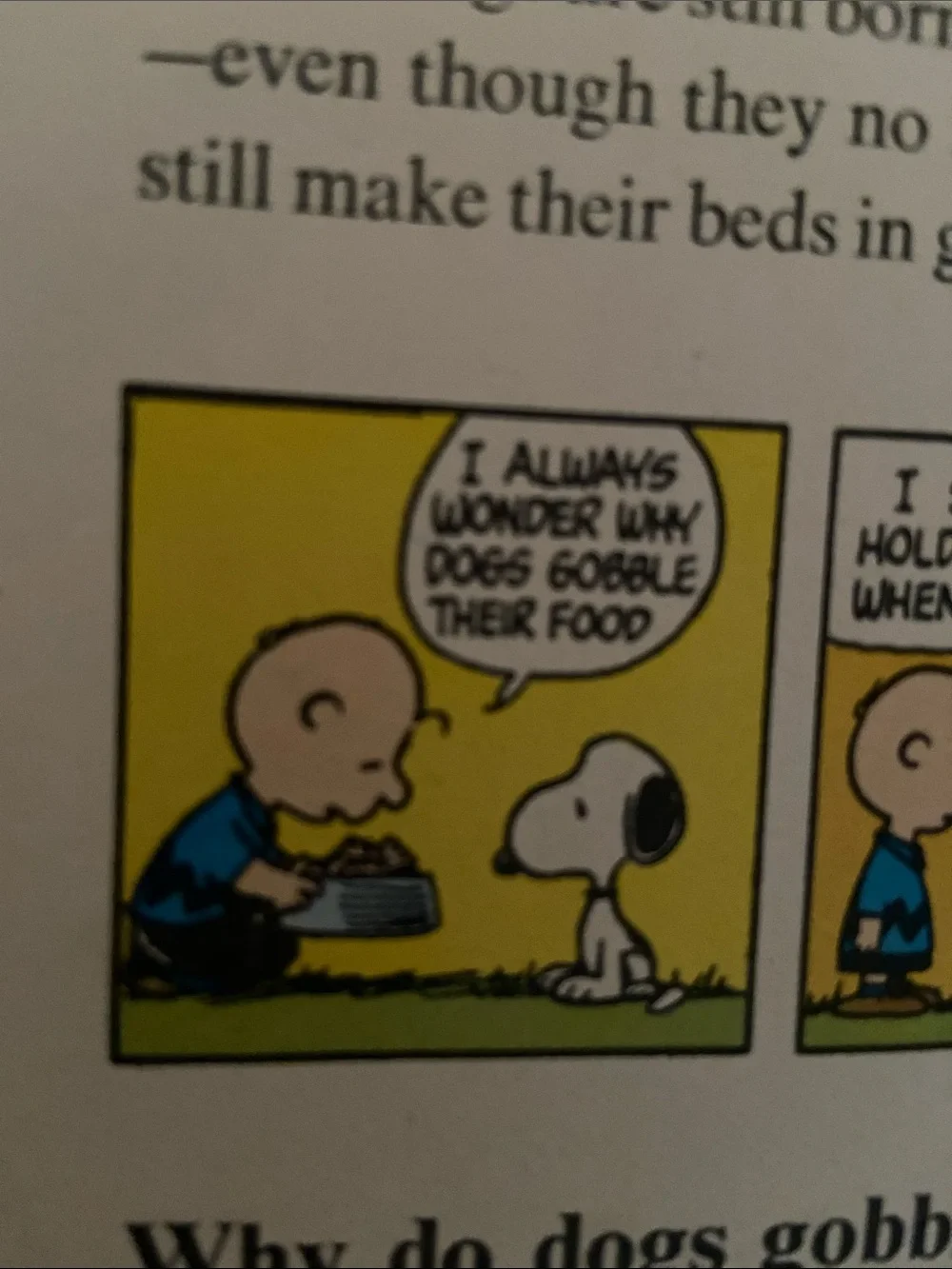 Vintage 70s 1970s Snoopy Peanuts Charlie Brown's Super Book Questions Answers hc